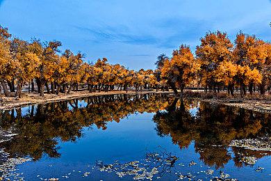 《索尼克：边境》发售日再更新12月3日 移除D加密